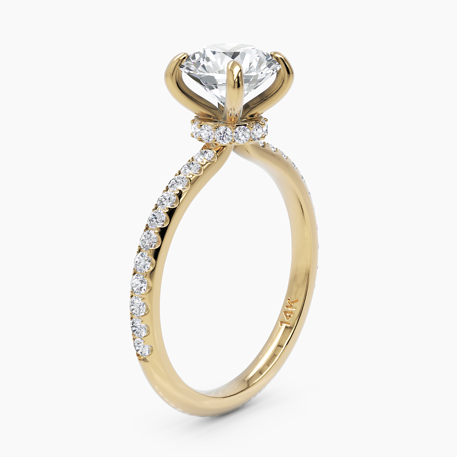 Hidden Halo Engagement Ring - Narcissus