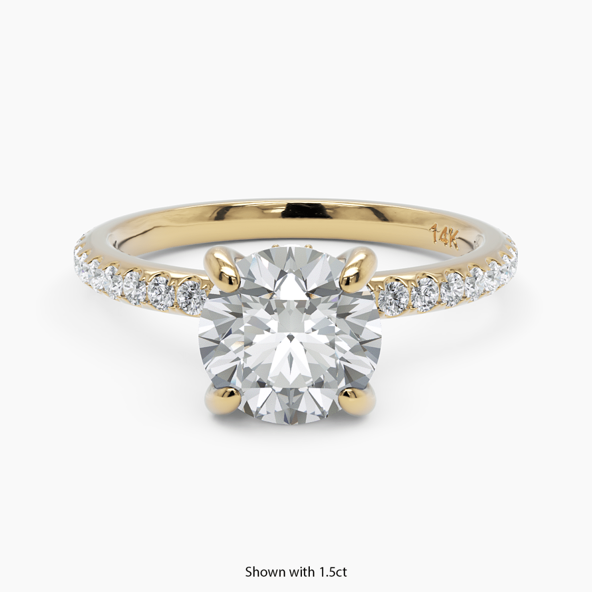 Hidden Halo Engagement Ring - Narcissus