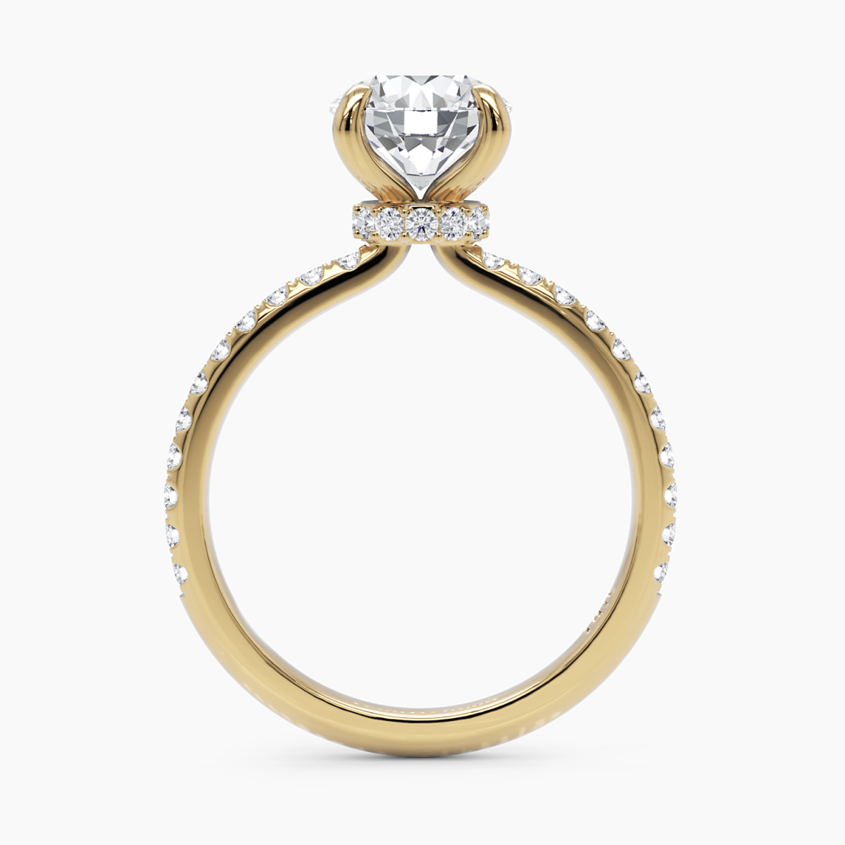 Hidden Halo Engagement Ring - Narcissus